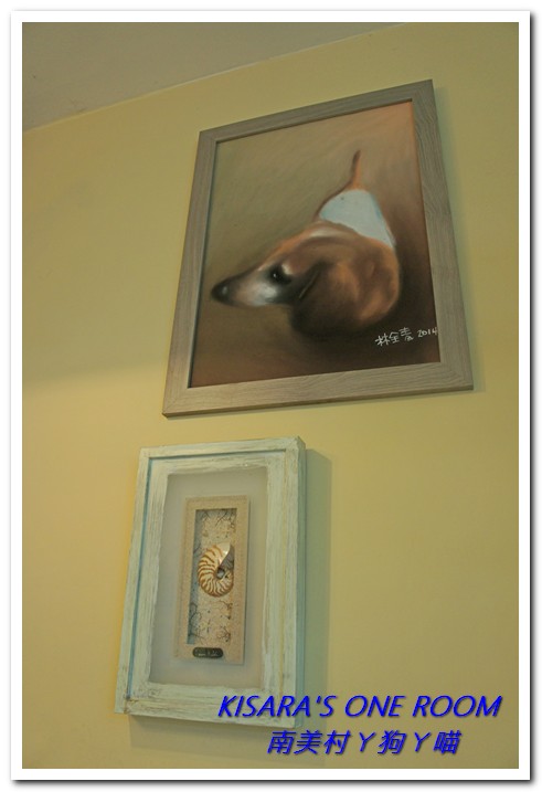 南美村ㄚ狗ㄚ喵：小動物陪同用餐的可愛中途餐廳──南美村ㄚ狗ㄚ喵《午餐篇》