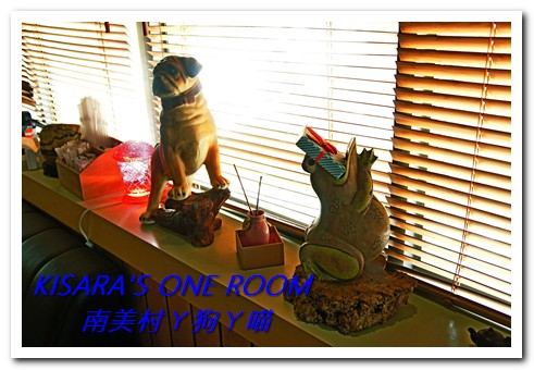 南美村ㄚ狗ㄚ喵：小動物陪同用餐的可愛中途餐廳──南美村ㄚ狗ㄚ喵《午餐篇》