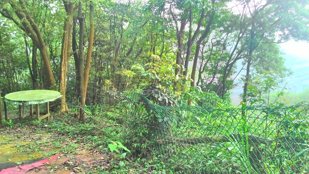 P_20150417_173333_HDR