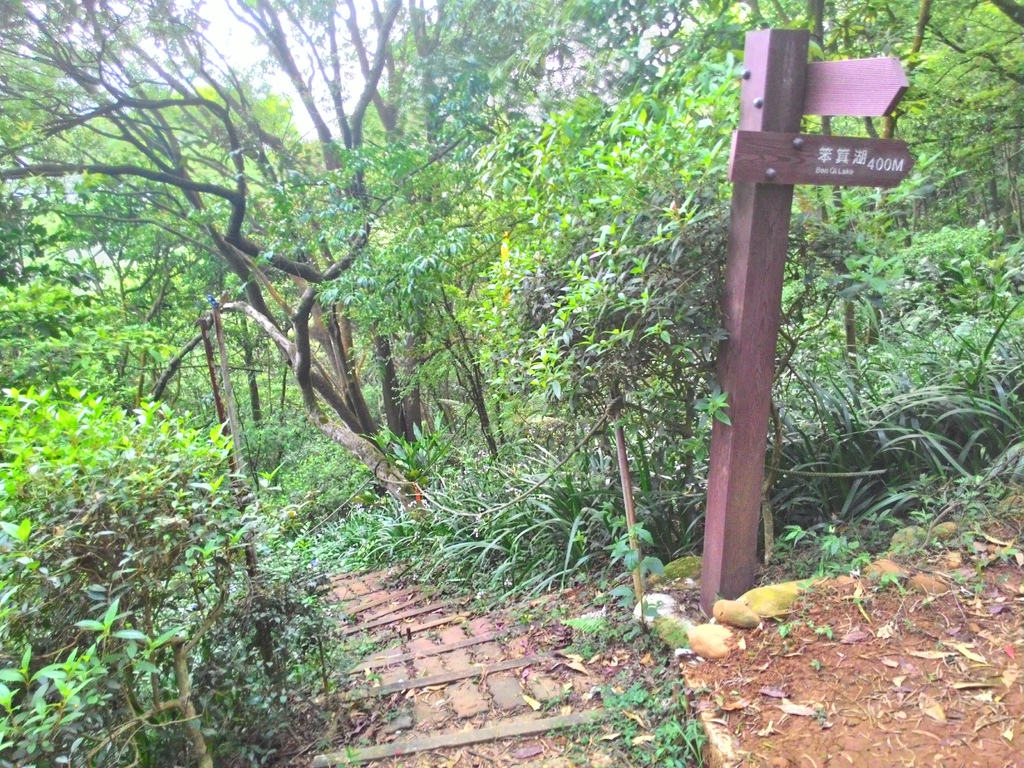 P_20150417_172709_HDR