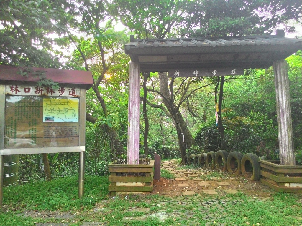 P_20150417_172226_HDR