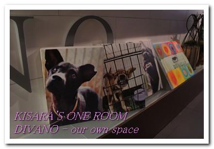 DIVANO：東區平價午茶──DIVANO