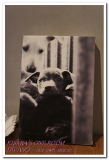 DIVANO：東區平價午茶──DIVANO