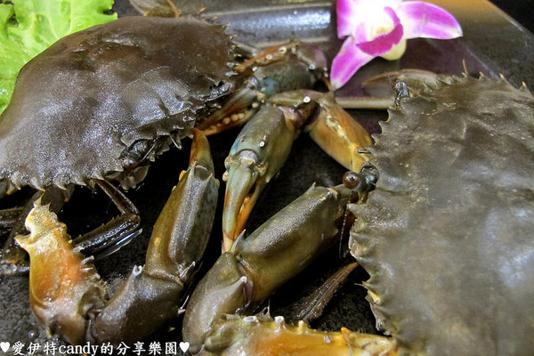 御品饗：『台南中西區_御品饗煲鍋』激推的胡椒豬肚雞煲湯！配上限量野生沙公，暖暖好舒服~