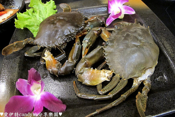 御品饗：『台南中西區_御品饗煲鍋』激推的胡椒豬肚雞煲湯！配上限量野生沙公，暖暖好舒服~