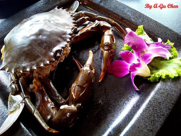 御品饗：【臺南Ω中西區】御品饗煲鍋。對品質、用料、口味都有所堅持的宮廷級食補料理