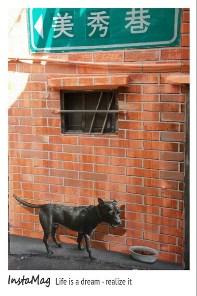 沙鹿美仁里彩繪巷：【台中景點】復古意味~沙鹿美仁里彩繪藝術巷