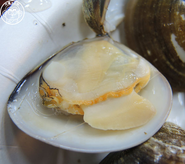 猛嘎海鮮燒物:呷飽祙【新北板橋・猛嘎海鮮燒物】藝人林道遠開店