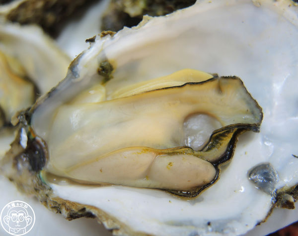 猛嘎海鮮燒物:呷飽祙【新北板橋・猛嘎海鮮燒物】藝人林道遠開店