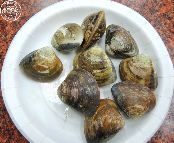 猛嘎海鮮燒物:呷飽祙【新北板橋・猛嘎海鮮燒物】藝人林道遠開店