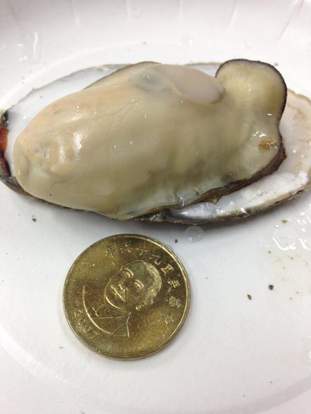 11091247_10205717008181662_1483353505_n