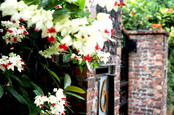 Zucchini：Zucchini 節瓜 - 健康蔬食.美味烹調.我的理想餐桌 【OpenRice新店快閃祕密客】