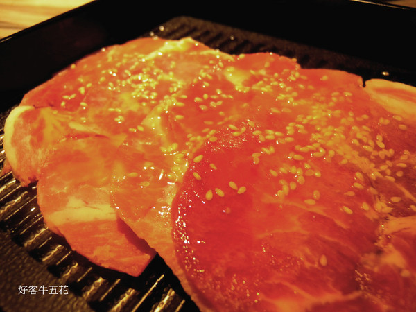 好客-音樂料理-現場LIVE演唱(市府店)：[台北]試吃 好客-音樂燒烤  一個適合聚餐又吃的好的地方! 東區唯一聽音樂燒烤的地方!