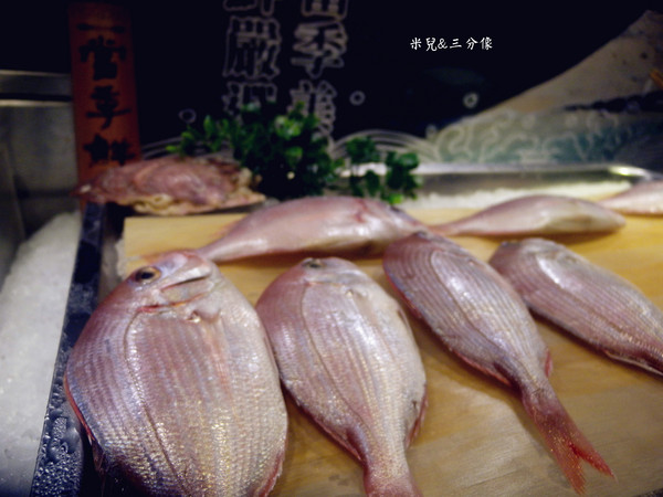 好客-音樂料理-現場LIVE演唱(市府店)：[台北]試吃 好客-音樂燒烤  一個適合聚餐又吃的好的地方! 東區唯一聽音樂燒烤的地方!