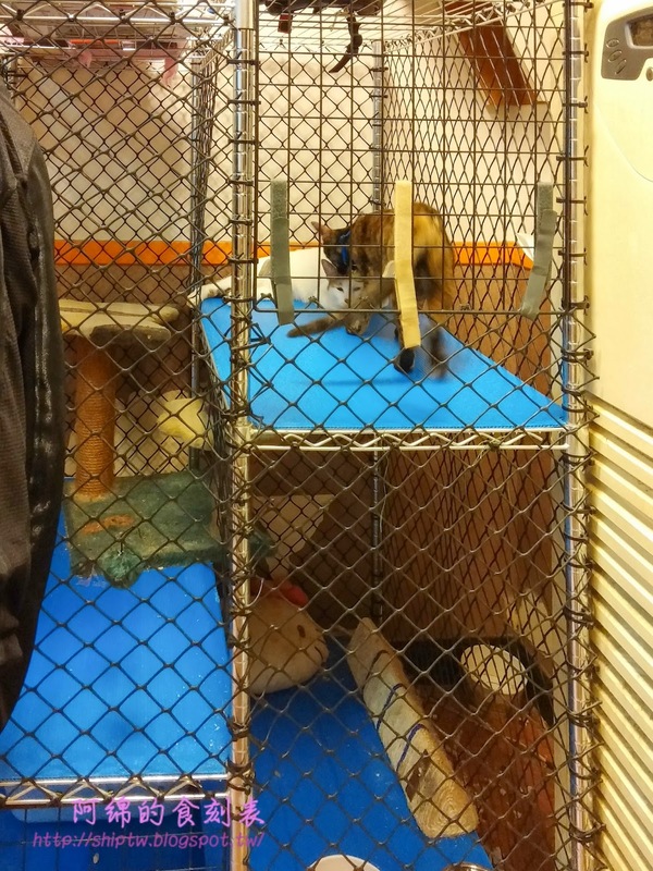 大方牛肉麵：桃園市桃園區 [大方牛肉麵] 原汁排骨麵麵Q肉大塊