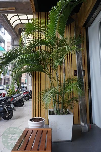 DSC07669 (複製).JPG