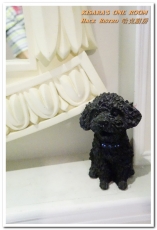 哈克廚房：松菸美食．吃了還想再吃的美味義式烤薄餅──Hack Bistro 哈克廚房