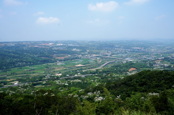 銅鑼雙峰山賞桐花：[苗栗銅鑼] 雙峰山慈惠堂 賞滿山桐花~