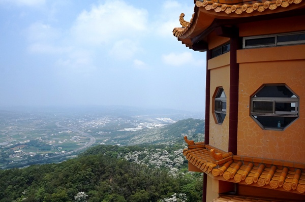 銅鑼雙峰山賞桐花：[苗栗銅鑼] 雙峰山慈惠堂 賞滿山桐花~