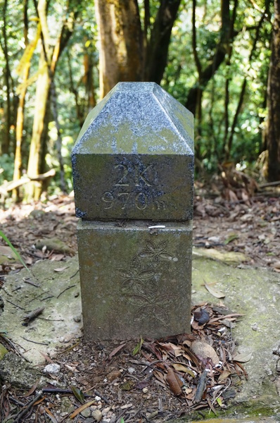 銅鑼雙峰山賞桐花：[苗栗銅鑼] 雙峰山慈惠堂 賞滿山桐花~