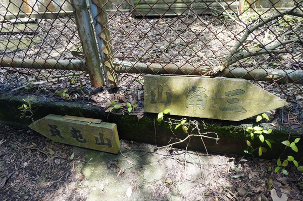 銅鑼雙峰山賞桐花：[苗栗銅鑼] 雙峰山慈惠堂 賞滿山桐花~