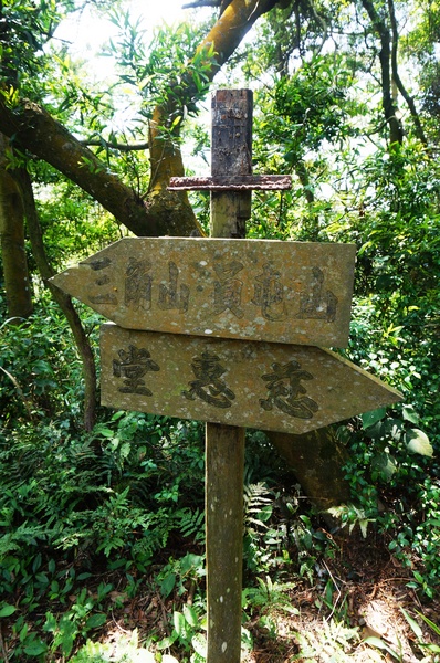 銅鑼雙峰山賞桐花：[苗栗銅鑼] 雙峰山慈惠堂 賞滿山桐花~
