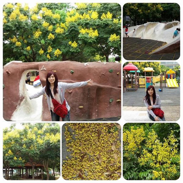 竹北文化兒童公園(文平路與吳濁流路交叉口)：【新竹景點】饒富詩意的黃金雨~貝殼溜滑梯及竹北文化兒童公園