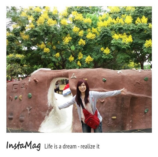 竹北文化兒童公園(文平路與吳濁流路交叉口)：【新竹景點】饒富詩意的黃金雨~貝殼溜滑梯及竹北文化兒童公園