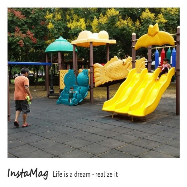 竹北文化兒童公園(文平路與吳濁流路交叉口)：【新竹景點】饒富詩意的黃金雨~貝殼溜滑梯及竹北文化兒童公園