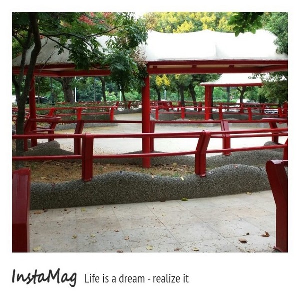 竹北文化兒童公園(文平路與吳濁流路交叉口)：【新竹景點】饒富詩意的黃金雨~貝殼溜滑梯及竹北文化兒童公園