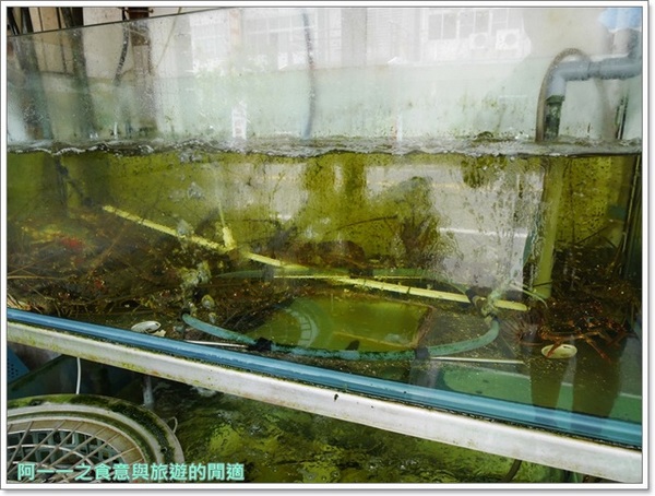 特選海產店：台東美食 特選海產店～海鮮尚青道道讚，大碗美味