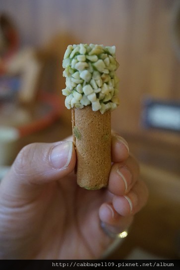 DSC07239 (複製).JPG