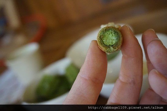 DSC07244 (複製).JPG