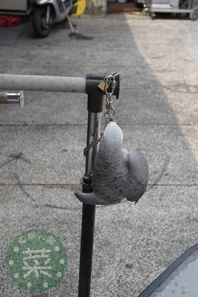 DSC07548 (複製).JPG