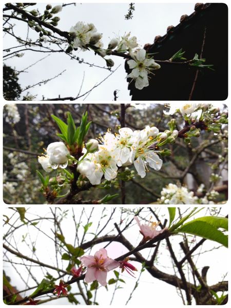 2015-01-30-22-37-53_deco