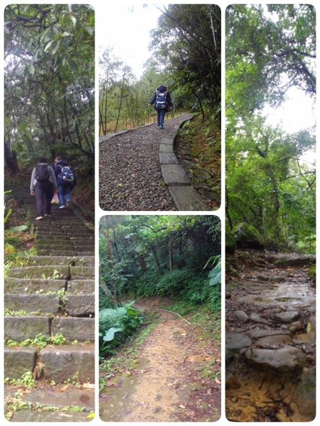 2015-01-30-13-37-04_deco