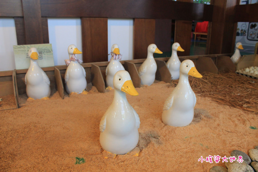 博士鴨 036