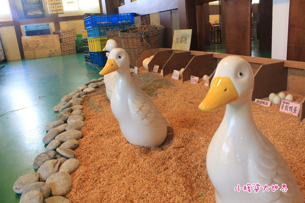 博士鴨 039