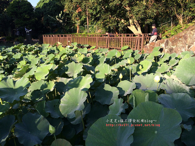 2015-05-16 06.27.17_resize