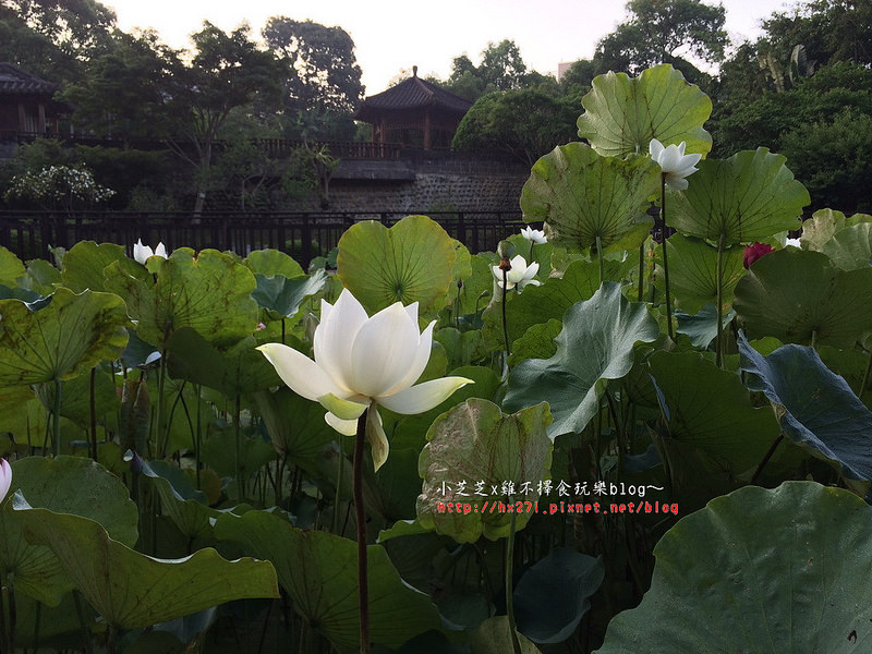 2015-05-16 05.58.01 HDR_resize