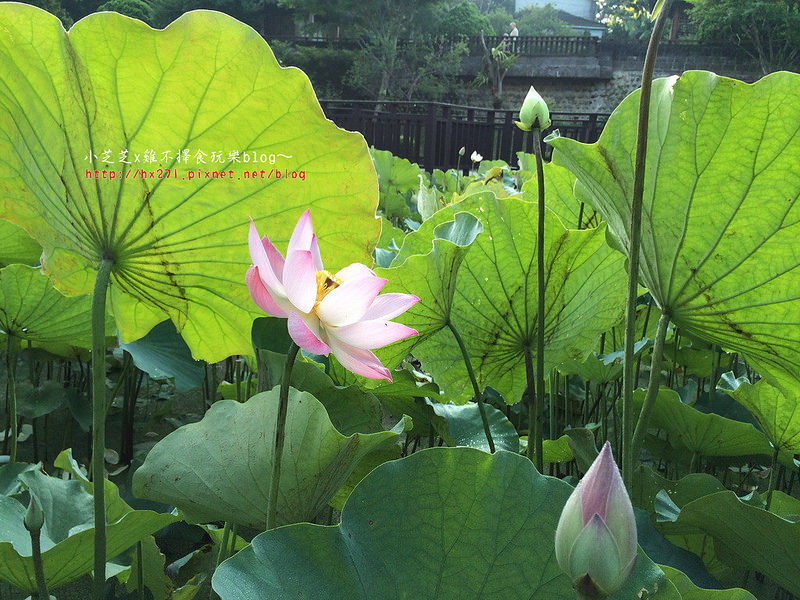 2015-05-16 06.25.25_resize