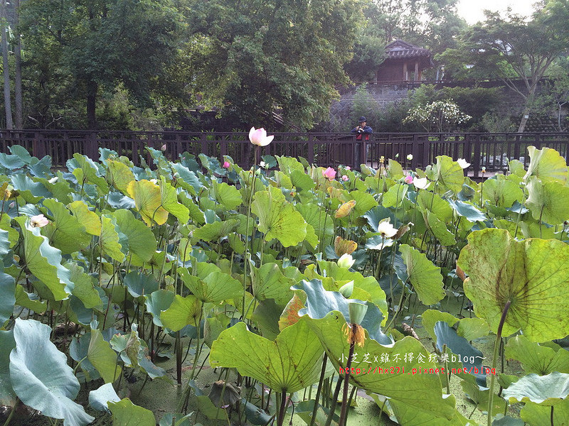 2015-05-16 05.57.32_resize