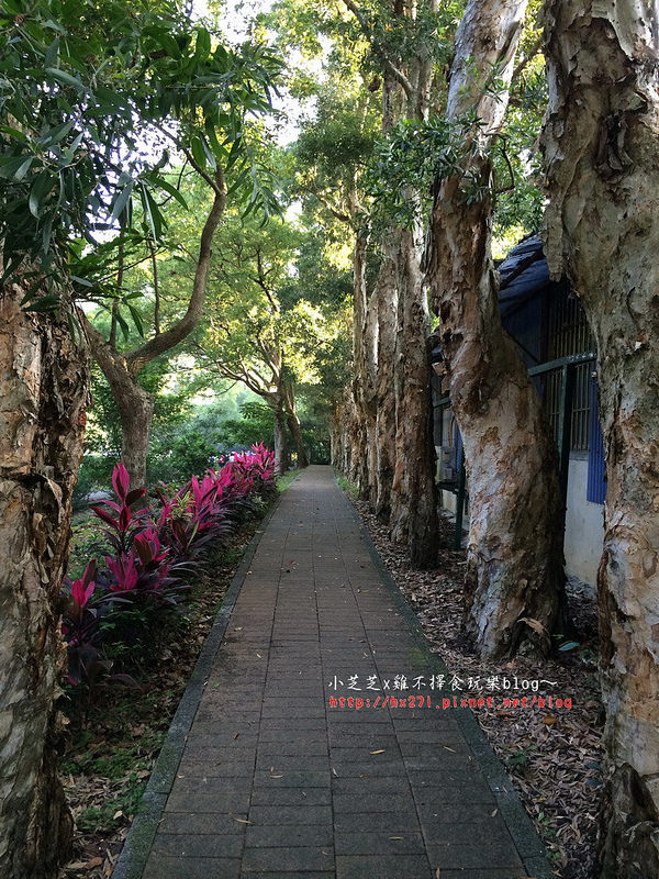 2015-05-16 06.31.23_resize