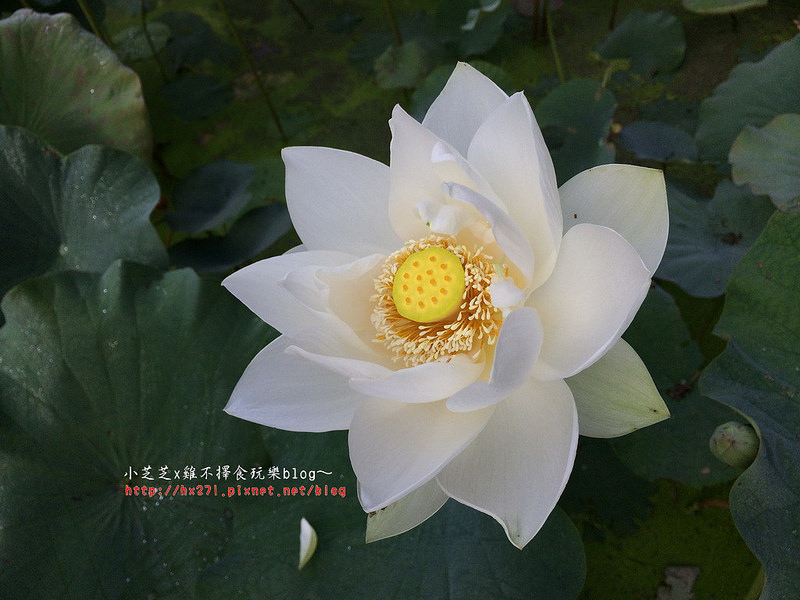 2015-05-16 06.26.29-1_resize