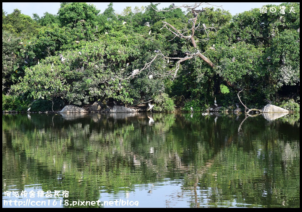 河沿悅舍精品民宿DSC_9281