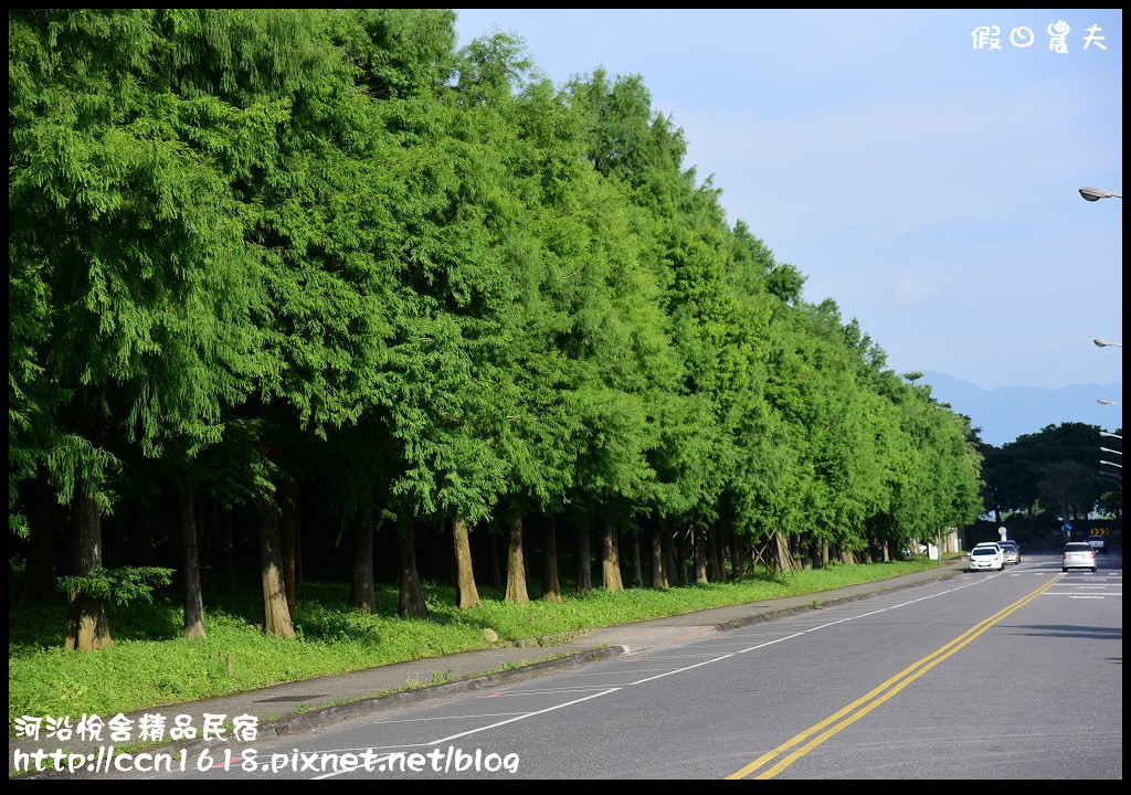 河沿悅舍精品民宿DSC_9301