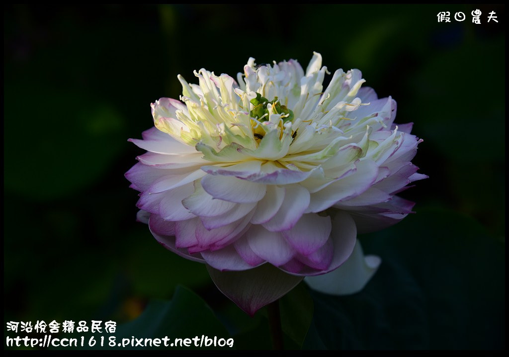 河沿悅舍精品民宿DSC_9295