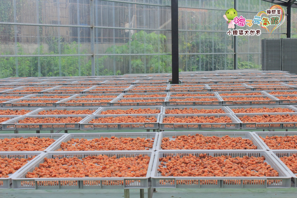 梅問屋梅子元氣館 038.jpg