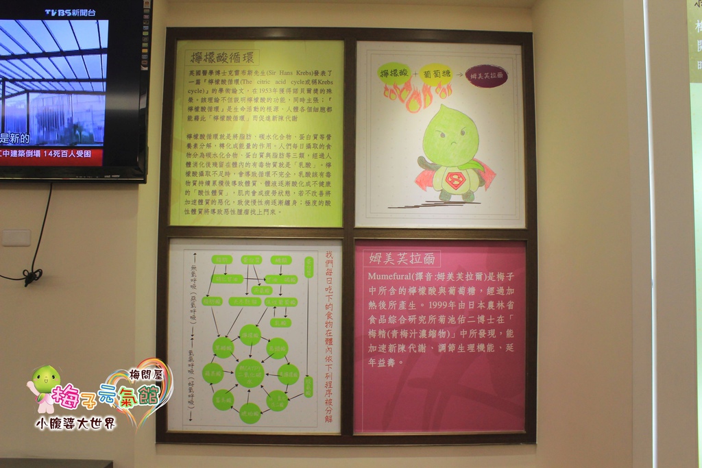 梅問屋梅子元氣館 012.jpg