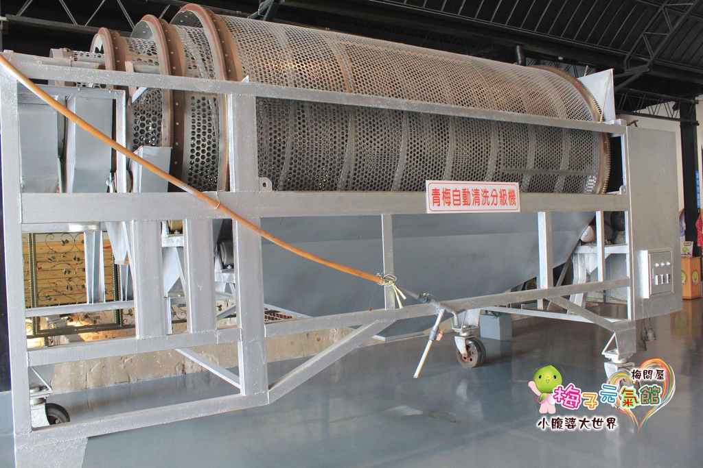 梅問屋梅子元氣館 043.jpg